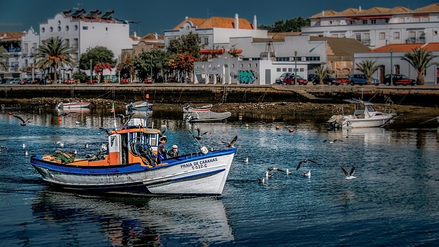 olhao boat trip algarve